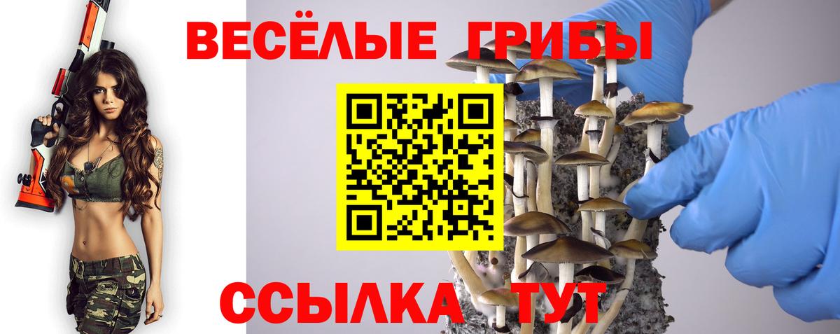 Псилоцибиновые грибы мицелий Красный Сулин