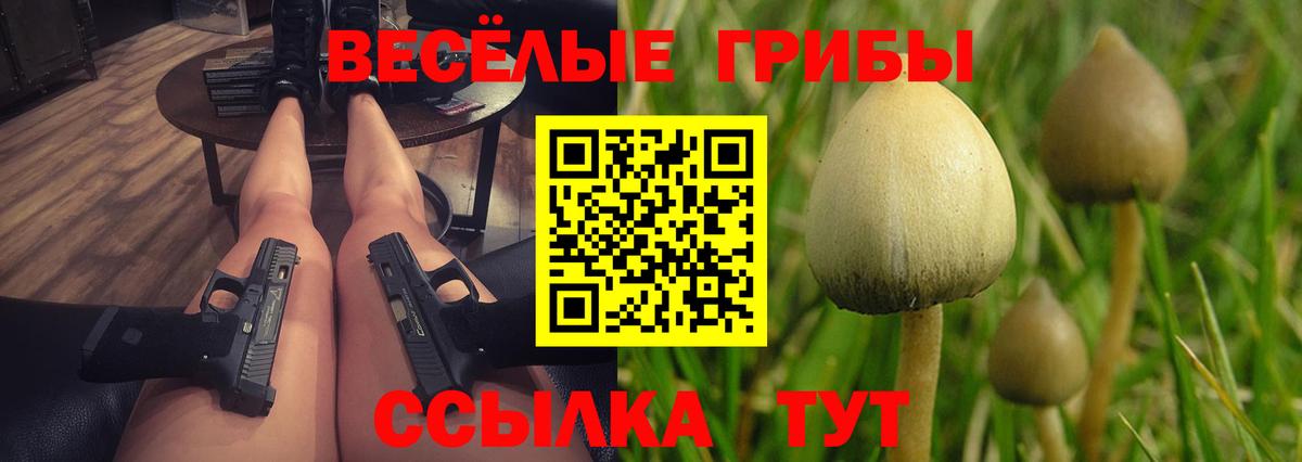Галлюциногенные грибы Magic Shrooms  Вход с VPN  Красный Сулин  Псилоцибиновые грибы мицелий 